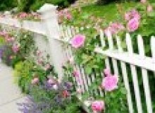 Kwikfynd Garden fencing
kalgoorlie